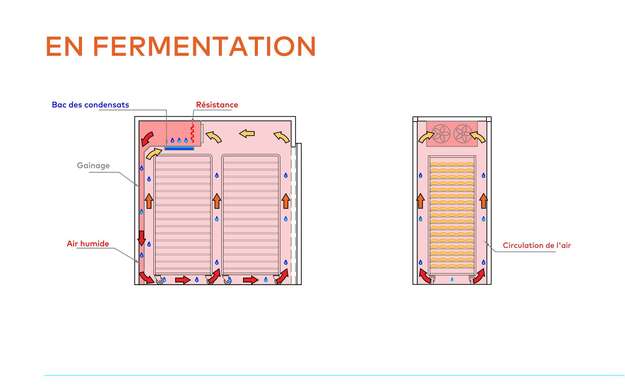 Fermentation Chambre de fermentation