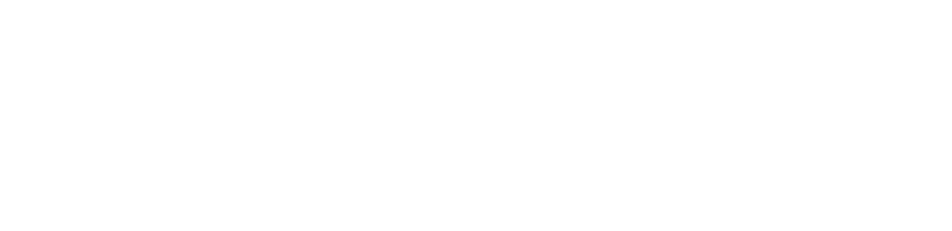 PS Logo Horizontal White